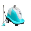 110/220V home steamer with all kinds of capacity