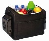 12L car&picnic mini fridge/portable mini refrigerator/beverage&fruit refrigerator/thermoelectric warm&cooler