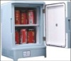 15L car&home mini fridge/portable mini refrigerator/beverage&fruit refrigerator/thermoelectric warm&cooler