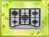 @201# Stainless steel gas stove NY-QM5025