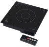 2011 Electric Induction Stove