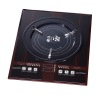 2011 Induction Electric Cooker