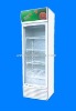 268L upright commercial refrigerator