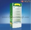 318L Glass Luxury Refrigerator Showcase