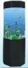 Anise aquarium fish tank