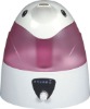 Cartoon Humidifier