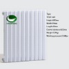 Cast iron radiator TIM3-622
