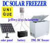 DC Solar freezer 258L