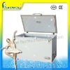 DL 250L Home Appliance Freezer /Home Chest FreezerHot sale in Africa with CE SONCAP
