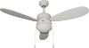 Decoative ceiling fan