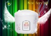 Deluxe plastic electric rice cooker manufacturer