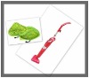 Eco-friendly functional steam mop with CE/ROHS