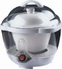 Electric Stewing Pot