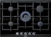 Gas stove Tempered Glass cooktops Gas Burner TY-BG5024