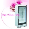 HGD-12R ventilated refrigerated Self-closing glass door cooler