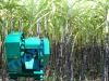 High efficiency sugar cane juice machine