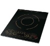 Induction Cooker 120-A8
