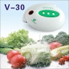 Medical Portable Ozone Generator for Fruit and Vegetable 400mg/h+one year warranty