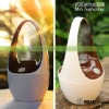 Mini USB Basket  Air Humidifier