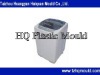 Mini Washing machine mould