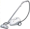 Multifunctional Steam Cleaner