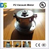 P2 Vacuum cleaner motor