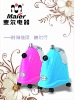 Professional Clothes Steamer with Magnetic Controller Device