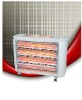 Quartz Heater