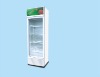 Single glass refrigerator models