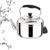Stainless steel 2008 electric kettle