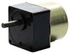 Synchronous Magnet AC Geared Motor (SAM60 Series)