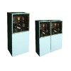Thermoelectric Bottle Wine Cooler wine cabinet DWC2-160C