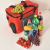 Thermoelectric cooler bag for fruit