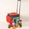 Thermoelectric mini cooler bag with handle and wheels