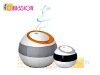 Ultrasonic Features Air Humidifier