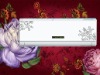 Wall Mounted Type Hybrid Solar Air Conditioner