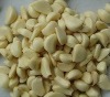 automatic industrial garlic sheller equipment