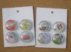 cute glass magnet buttton /glass buttons with magnet