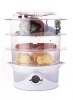 food steamer