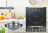 home appliance Induction cookers stoves,110V(F21)