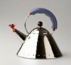 hots sell fashion durable kettle for stoves