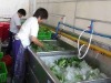 multifunction leafy vegetable cleaner
