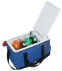 portable car cooler and warmer