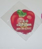 red Peper  fridge magnet /promotional fridge magnet in vegetable style