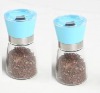 salt and pepper mill