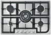 stainless steel gas stove(WG-IT5039)