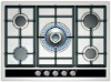 stainless steel hob (WG-IT5030)