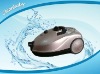 steam cleaner with iron