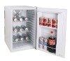 thermoelectric refrigerator 80L